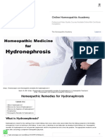 Homeopathic Remedies For Hydronephrosis - Homeo Expert