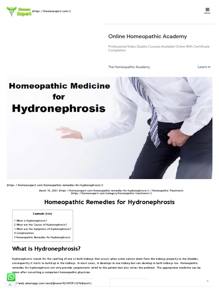 Homeopathic Remedies For Hydronephrosis Homeo Expert PDF Urinary