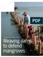 Weaving Dams To Defend Mangroves Building With Na-Wageningen University and Research 412548