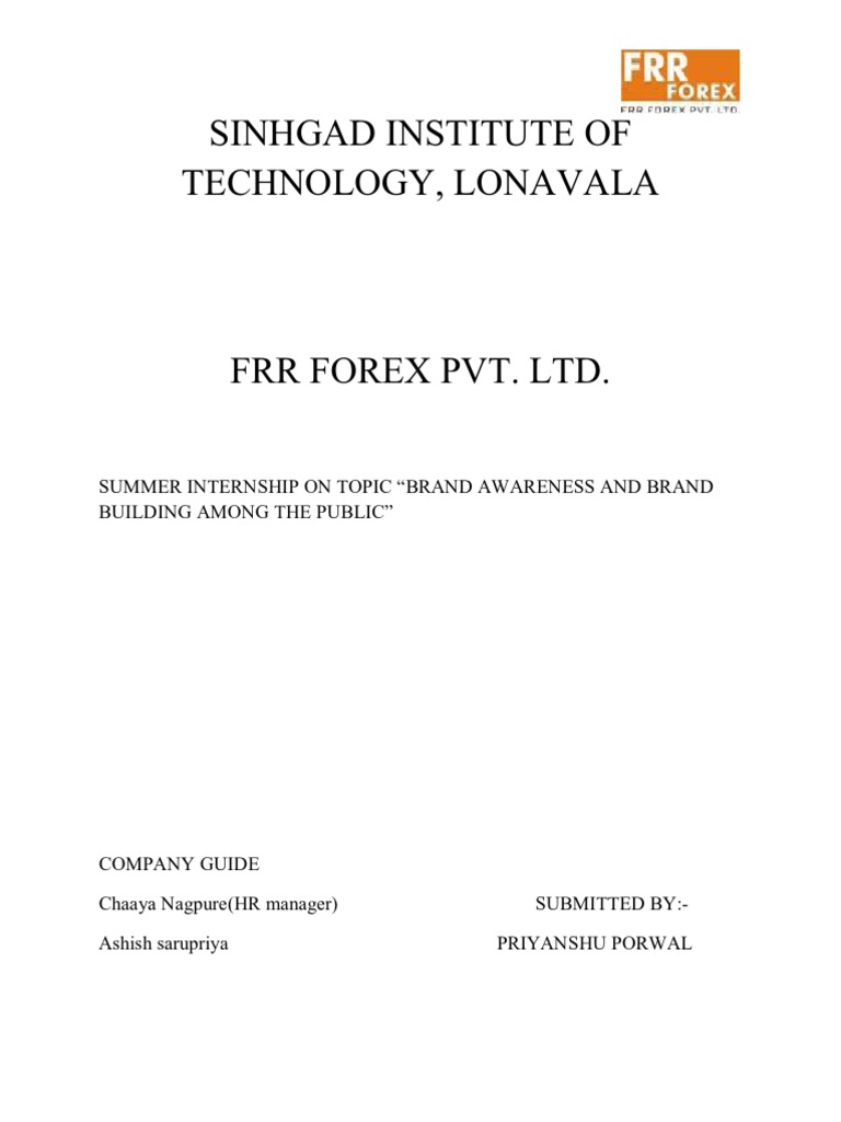 Executive Summary Traveler S Cheque Foreign Exchange Market - 