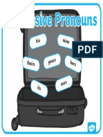 Possessive Pronouns Suitcase
