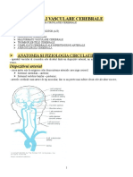 18-Boli-Vasculare-Cerebrale-1