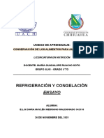 Ensayo - Refrigeración y Congelación