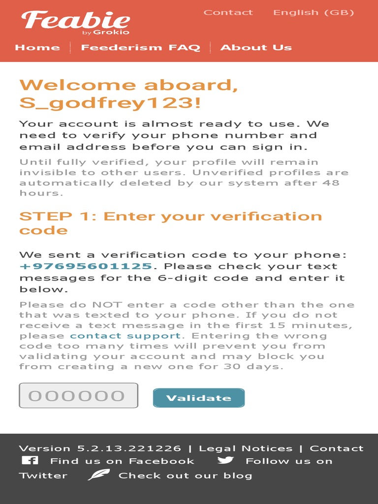 Feabie Account Verification Process | PDF