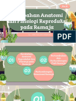 Perubahan Anatomi Dan Fisiologi Reproduksi Pada Remaja