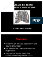 Segmentacion Pulmonar