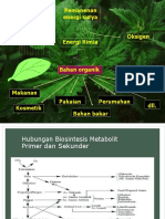 Ekstraksi