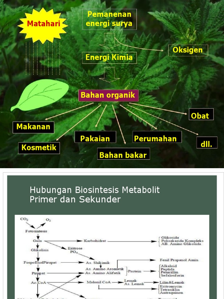 Ekstraksi | PDF