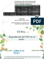 Degradacion de TNT en El Suelo