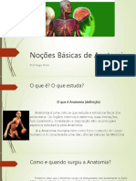 Noções Básicas Anatomia