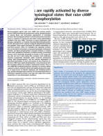 26S Proteasomes Are Rapidly Activated by Diverse Hormones and Physiological States That Raise cAMP and Cause Rpn6 Phosphorylation