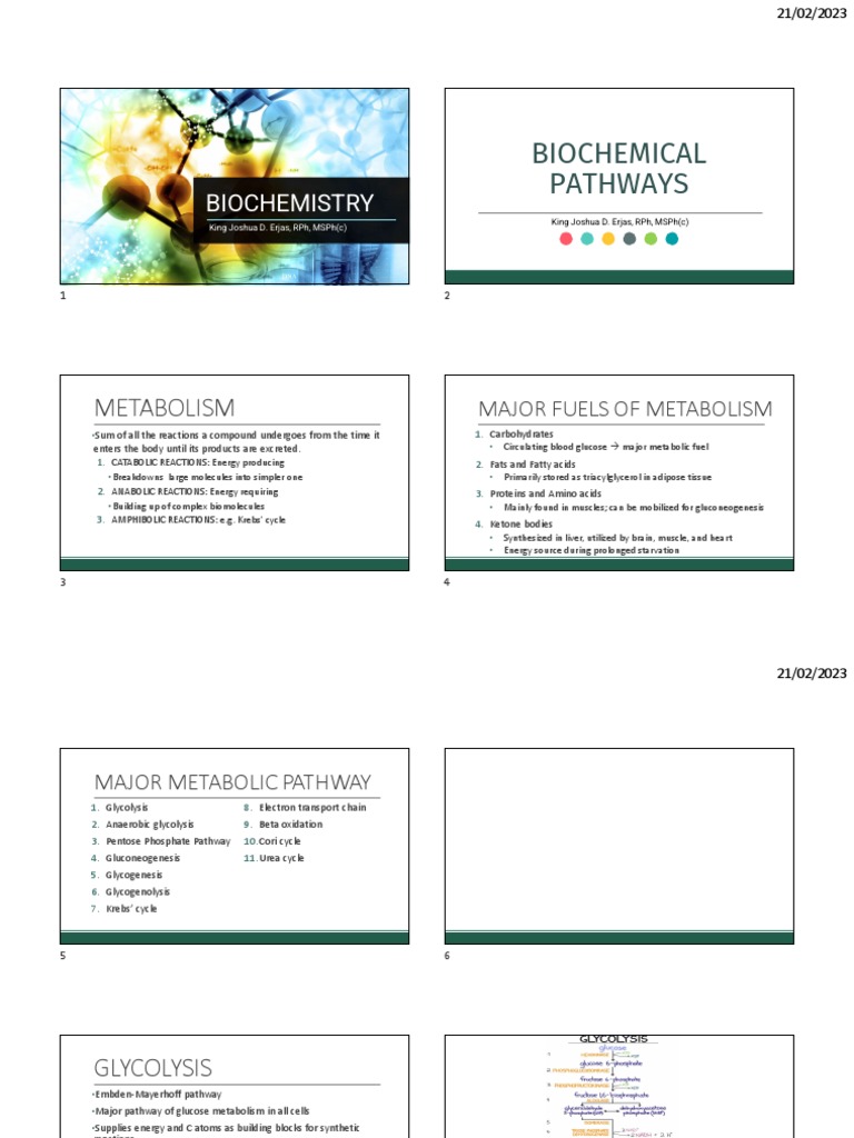 Metabolic Pathways Pdf Metabolism Diet Nutrition