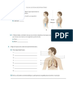 Ficha Ciencias 6 Ano Sistema Respiratorio