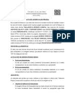 Acta de Audiencia de Prueba