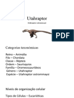 Utahraptor, réptil bípede predador
