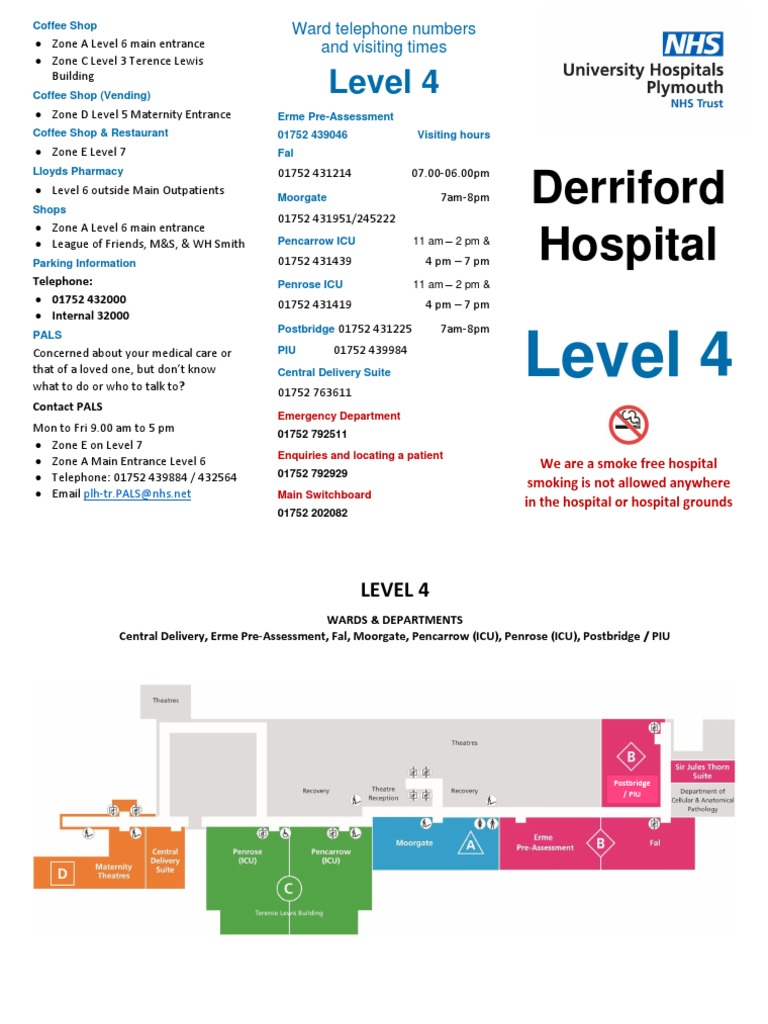 level-4-20193-pdf-hospital-public-services