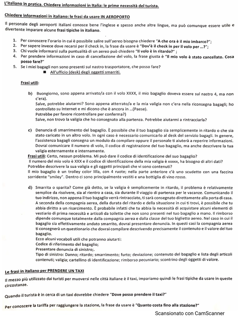All'Aeroporto. Espressioni Utili | PDF