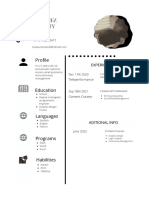 Curriculum Hoja de Vida Profesional Neutro