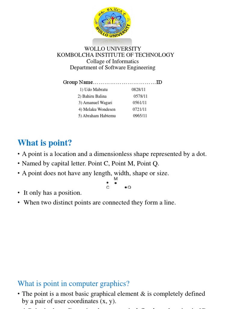 Computer Graphics Assignment PDF Line (Geometry) Computer Science