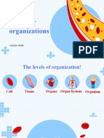 Levels of Organizations Zakray Science