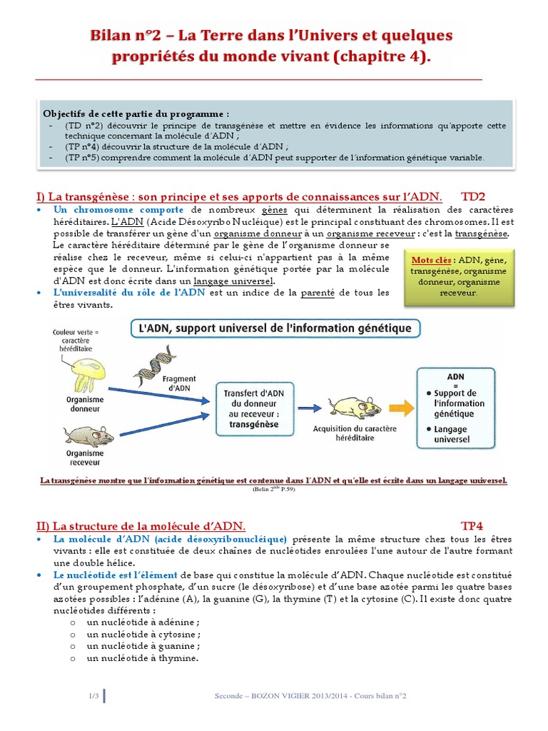 ADN et Transgénèse en Seconde | PDF | ADN | Gène