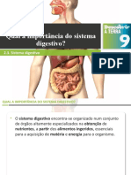 Importância Sistema Digestivo Absorção Nutrientes