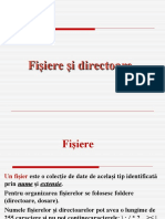 PD Fisiere Si Directoare