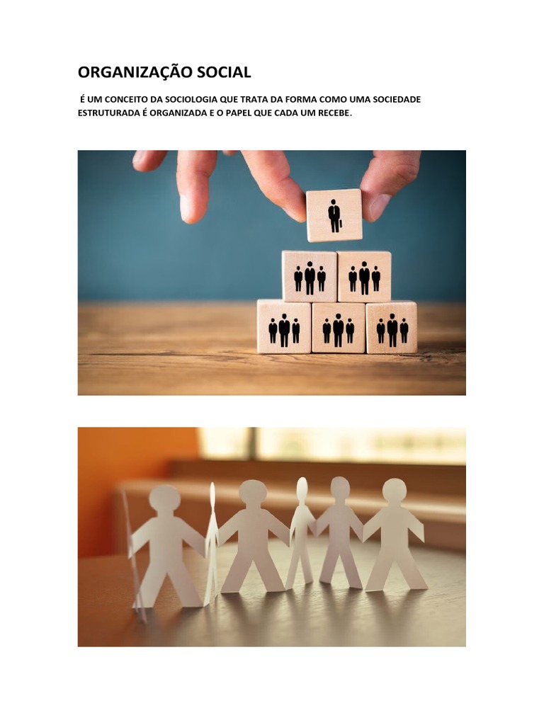 Organização Social | PDF