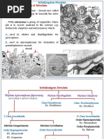 General Characteristics of Alveolata