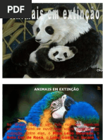 animais em extinção (1)
