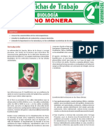 Reino Monera para Segundo Grado de Secundaria