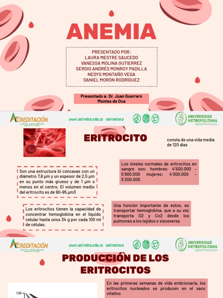 Clasificación y Causas de Anemia | PDF | Glóbulo rojo | Anemia