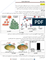 سلسلة 24- استدلال ومسعى علمي - المناعة الخلطية والخلوية