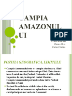 Campia Amazonului