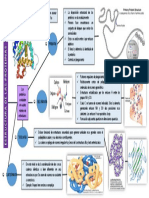 Estructura de Las Proteínas.
