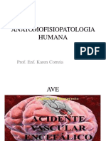 Anatomofisiopatologia Humana - Ave
