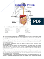 Alimentary Tract 22073