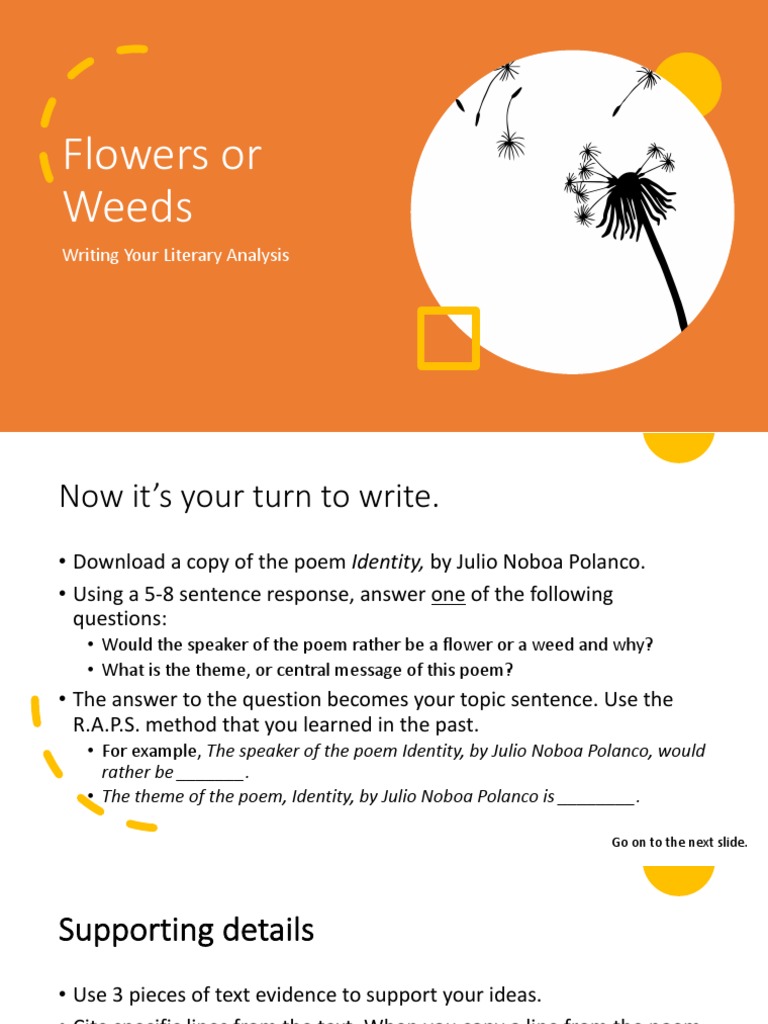 Identity Literary Analysis PDF Poetry Writing