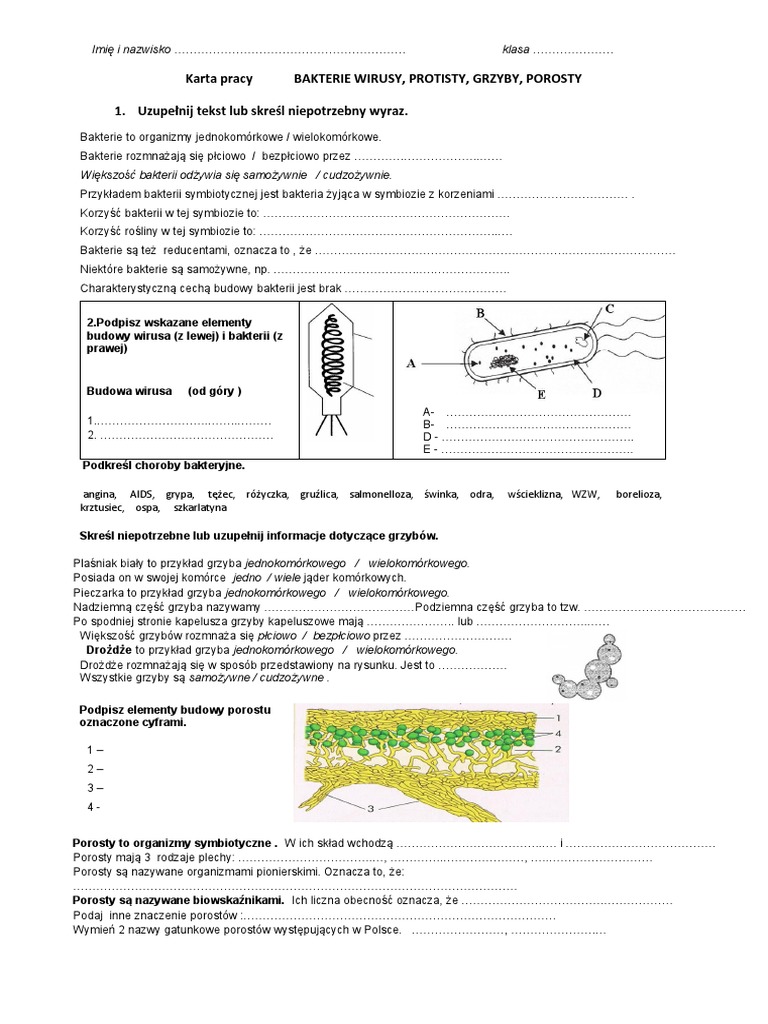Wirusy Bakterie Protisty I Grzyby Sprawdzian Klasa 5 Pdf Karta Pracy Bakterie Wirusy, Protisty, Grzyby, Porosty 1. Uzupełnij