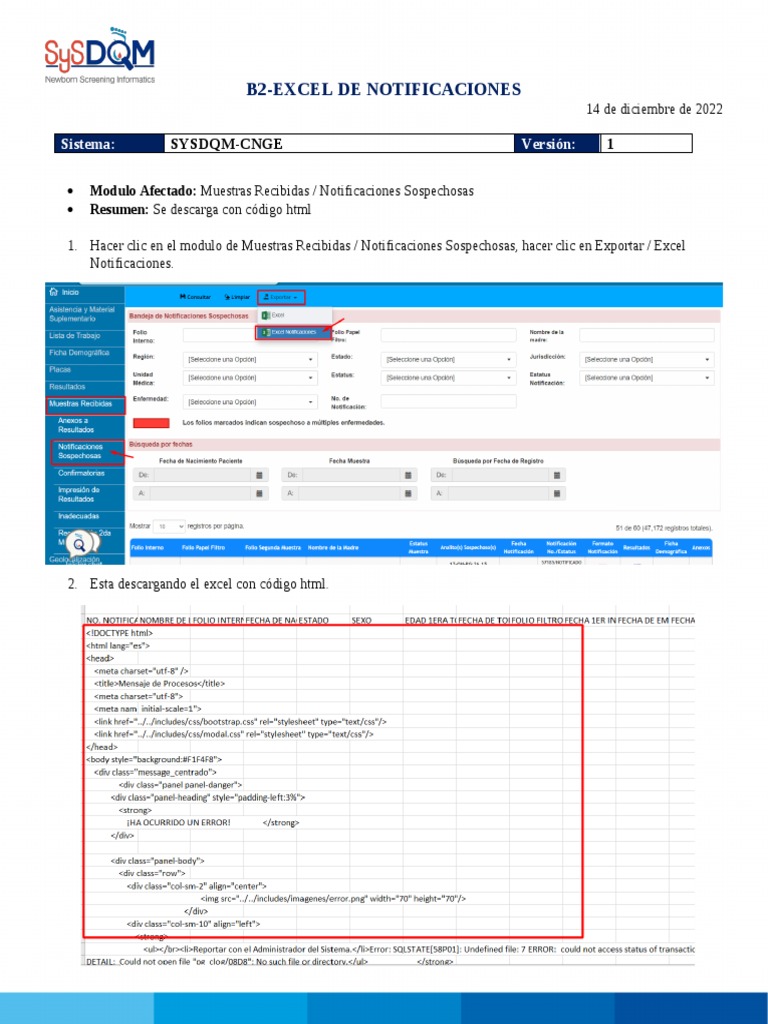 B2Error en El Excel de Notificaciones PDF