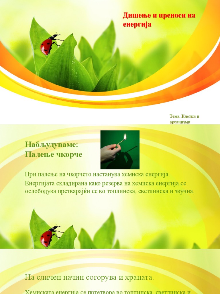 5 - дишење и преноси на енергија | PDF