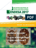 2 Aethina Tumida o Que Aprendemos o Que Melhorar