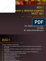 Ado I Agresión y Defensa Orgánica MVET 621: Dra. Natalia Sánchez Leiva. MV, MSC @: Natalia - Sanchez@unab - CL