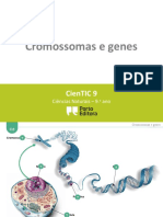 Cromossoma e Gene