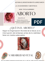 Aborto PDF