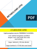 7 Metabolisme LIPID