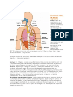 1 Aparato y Enfermedades