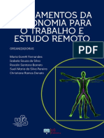 Fundamentos Da Ergonomia