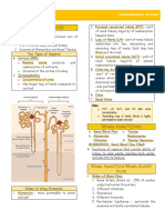 Topic 2 Aubf Renal Function PDF