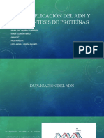 Duplicación Del ADN y Síntesis de Proteínas